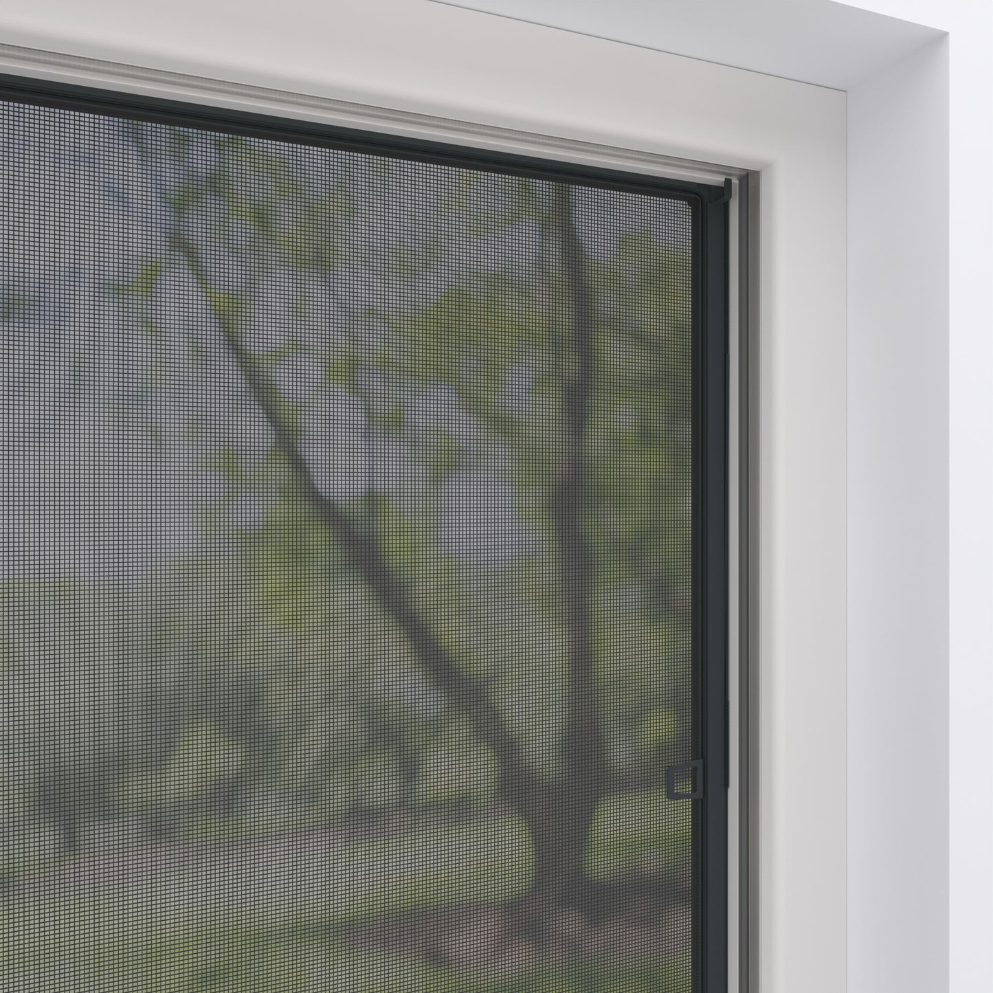 Fliegengitterfenster außen Anthrazit